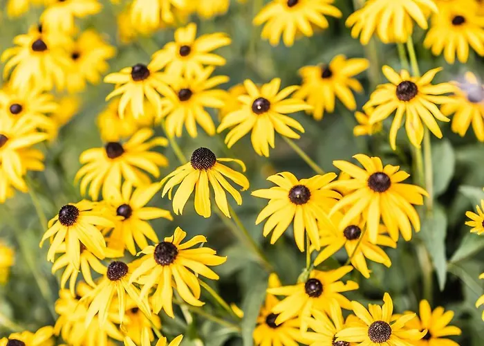 Apartamento Casa Dornbirn